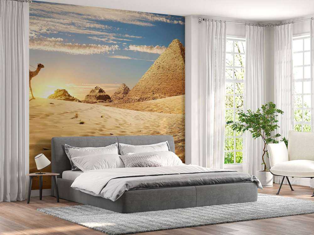 Kameel in de woestijn bij zonsondergang