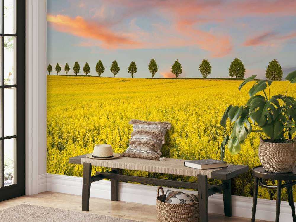 Veld vol gele bloemen