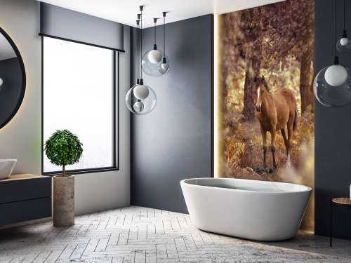 Paard in de wildernis