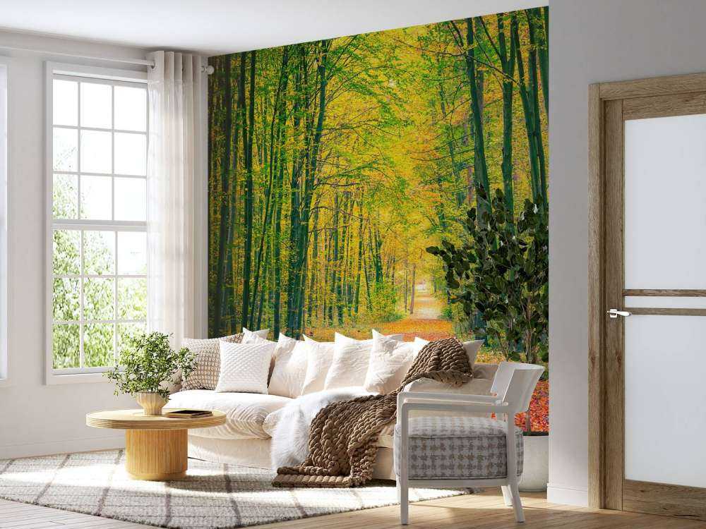 Een bosweg in de herfst