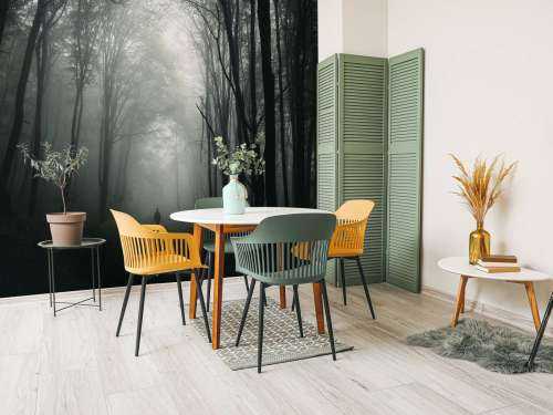 Mysterieuze Bos met Mist