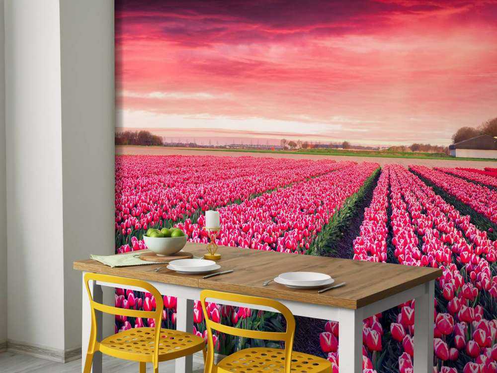Roze tulpenveld met dynamische kleuren