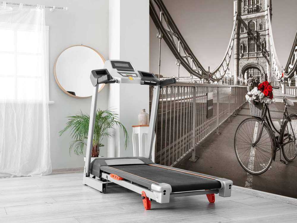 Puppy's in een fietsmand