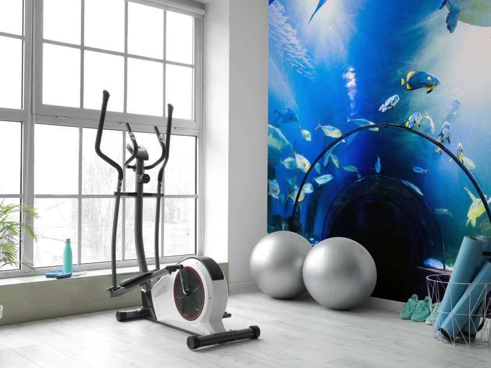 Bijzondere onderwater tunnel