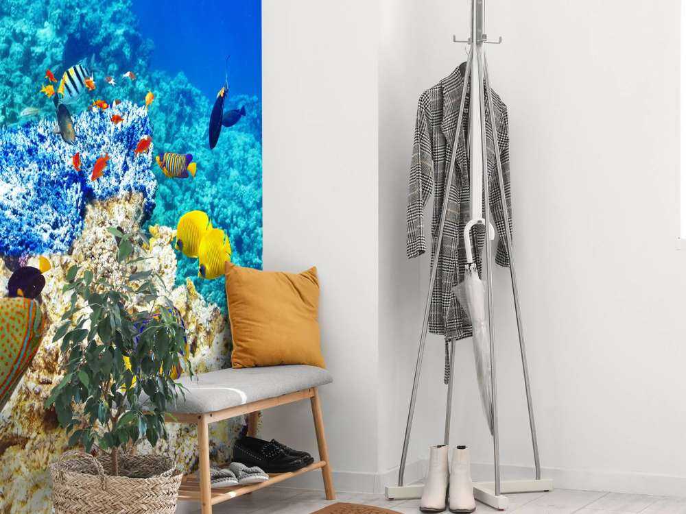 Exotische vissen in de oceaan