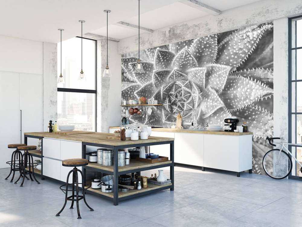 Close-up vetplant in zwart-wit