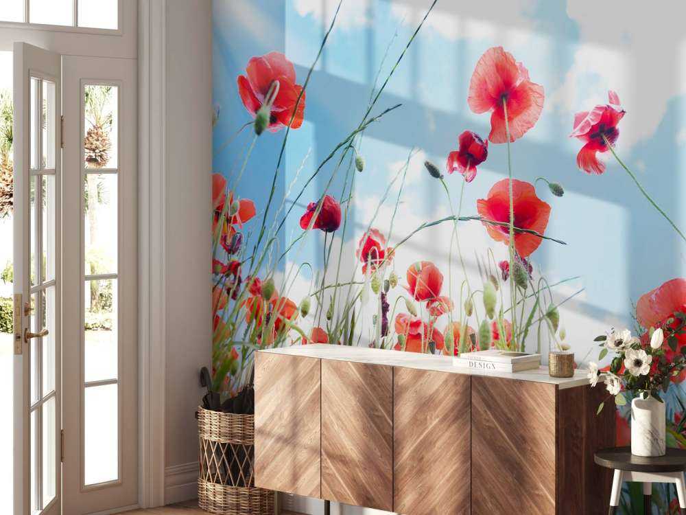 Klaprozen in het voorjaar