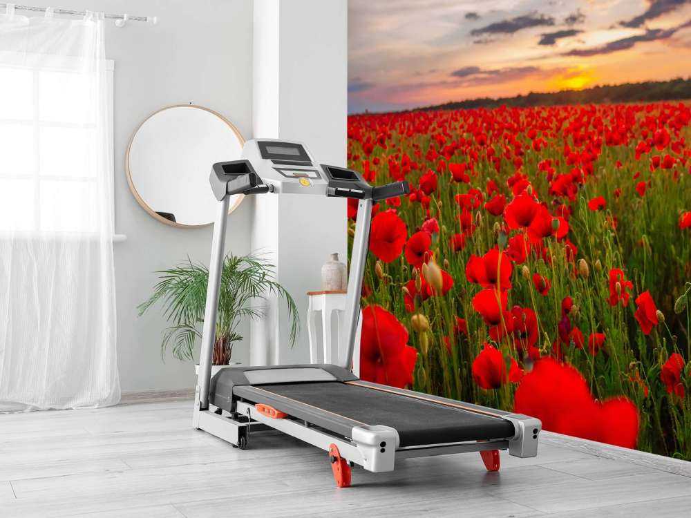 Rode klaprozenveld bij zonsondergang