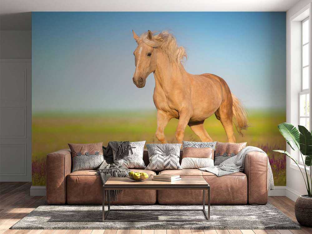 Cremello Paard in weide