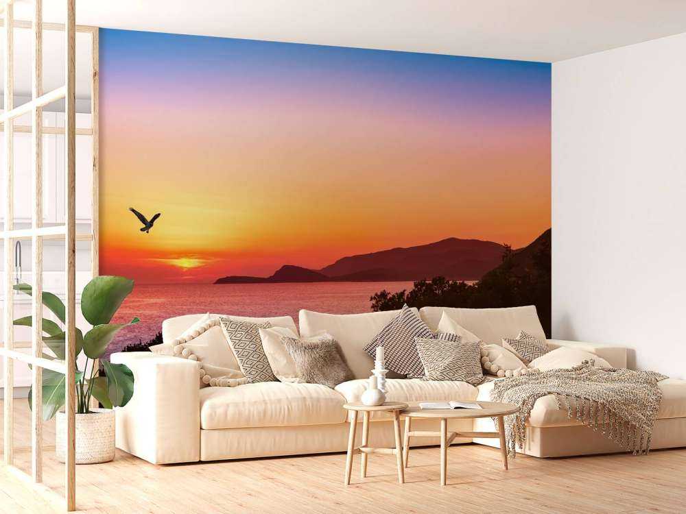 Roofvogel tijdens Zonsondergang