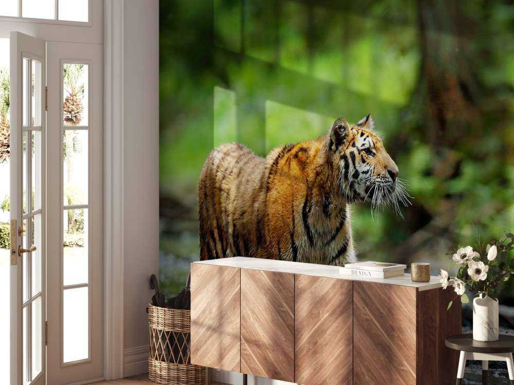 Tijger in Russische natuur