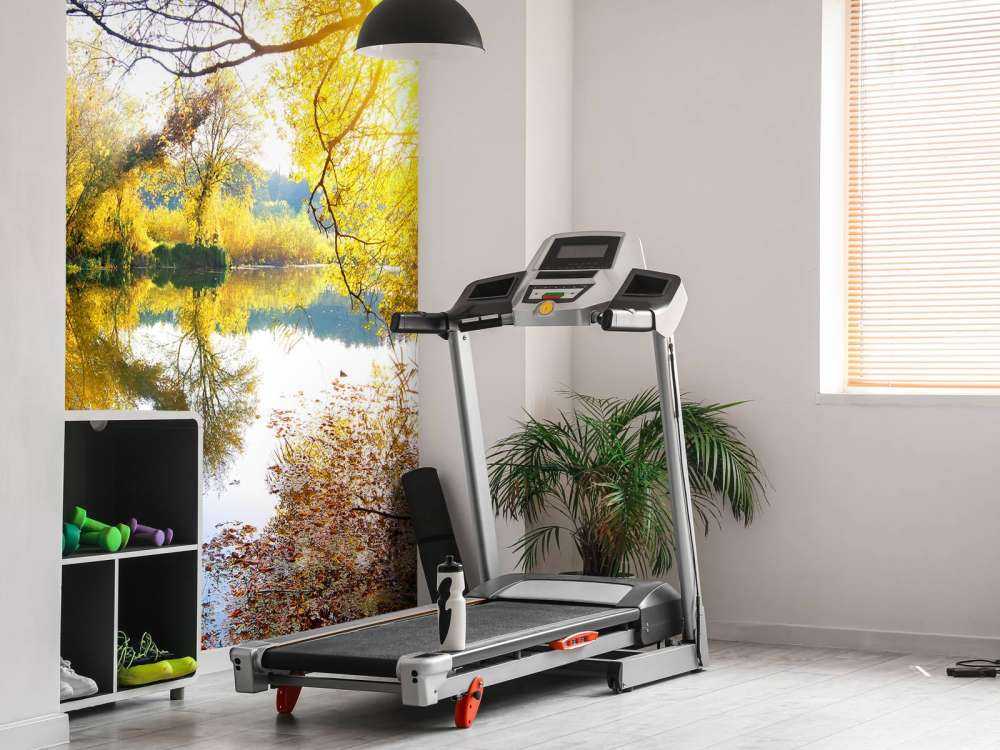 Witte Zwaan op Rivier met herfst