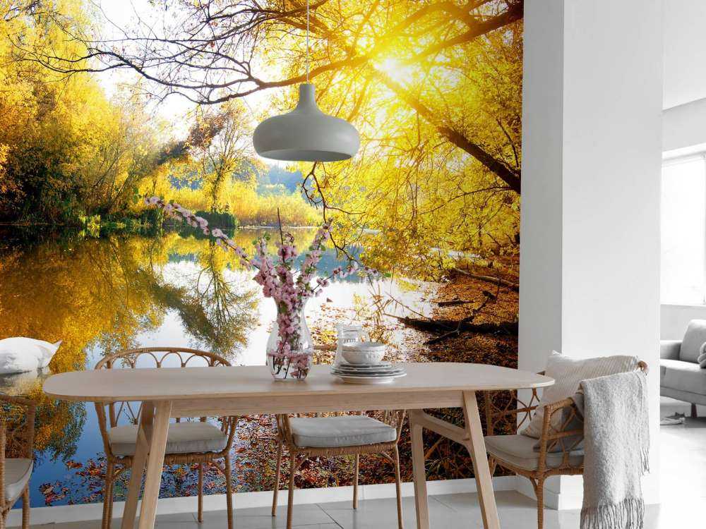 Witte Zwaan op Rivier met herfst