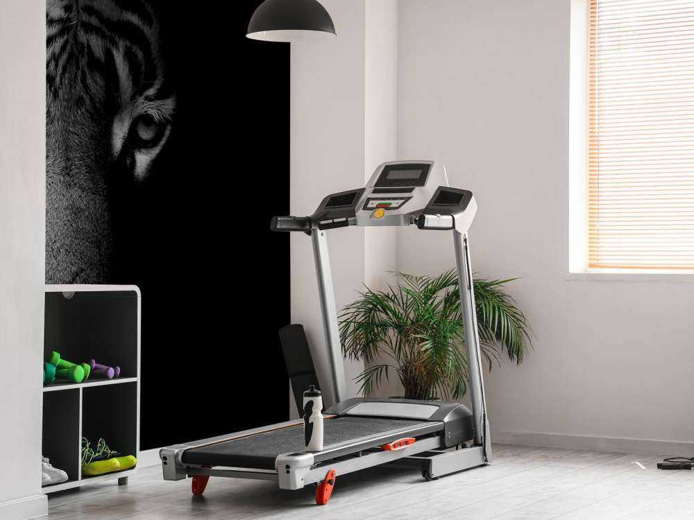 Tijger op zwarte achtergrond