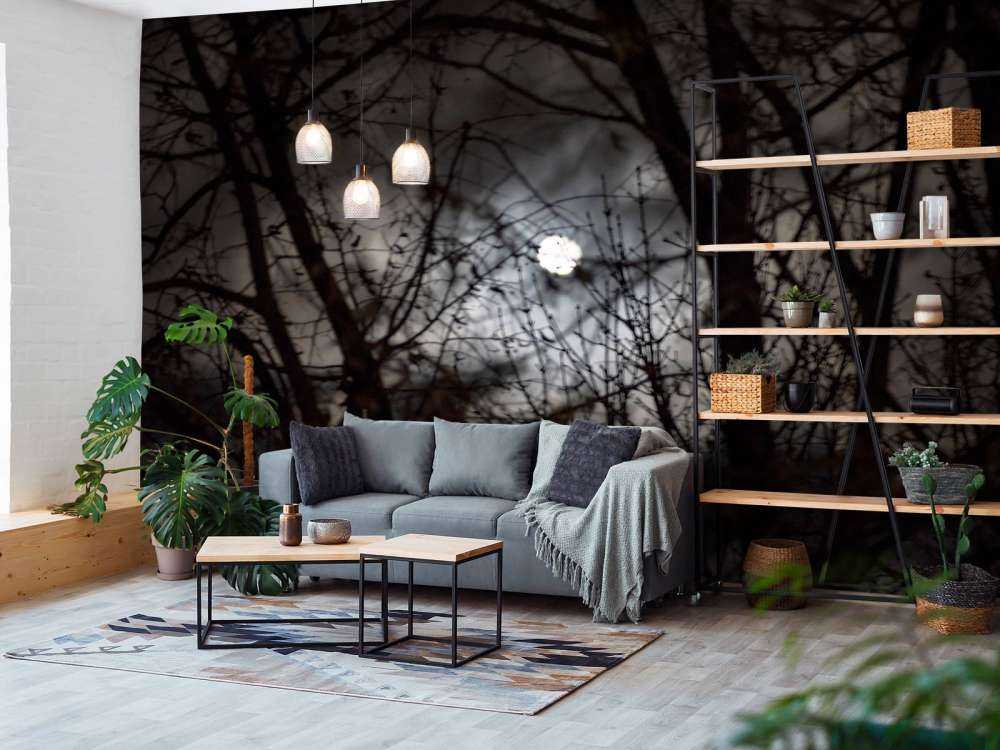 Volle maan vanuit het bos