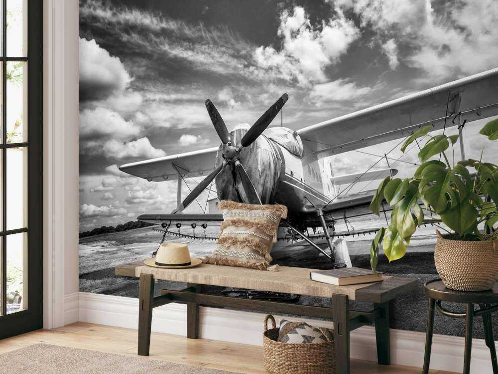 Vintage vliegtuig onder een bewolkte hemel