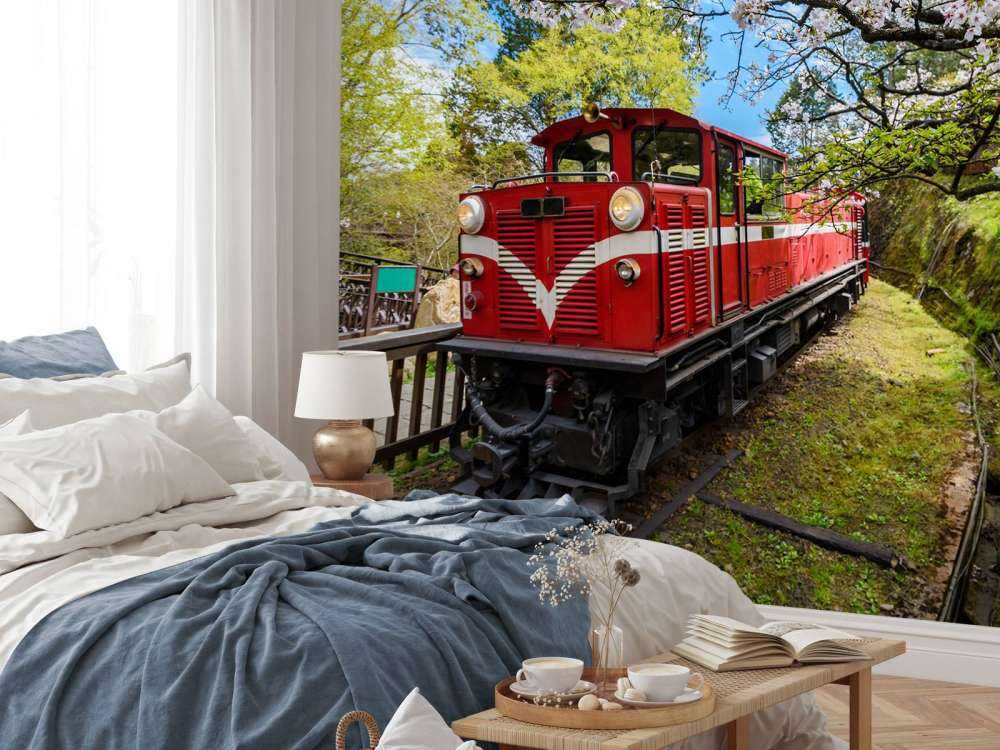 Rode trein door een parkje