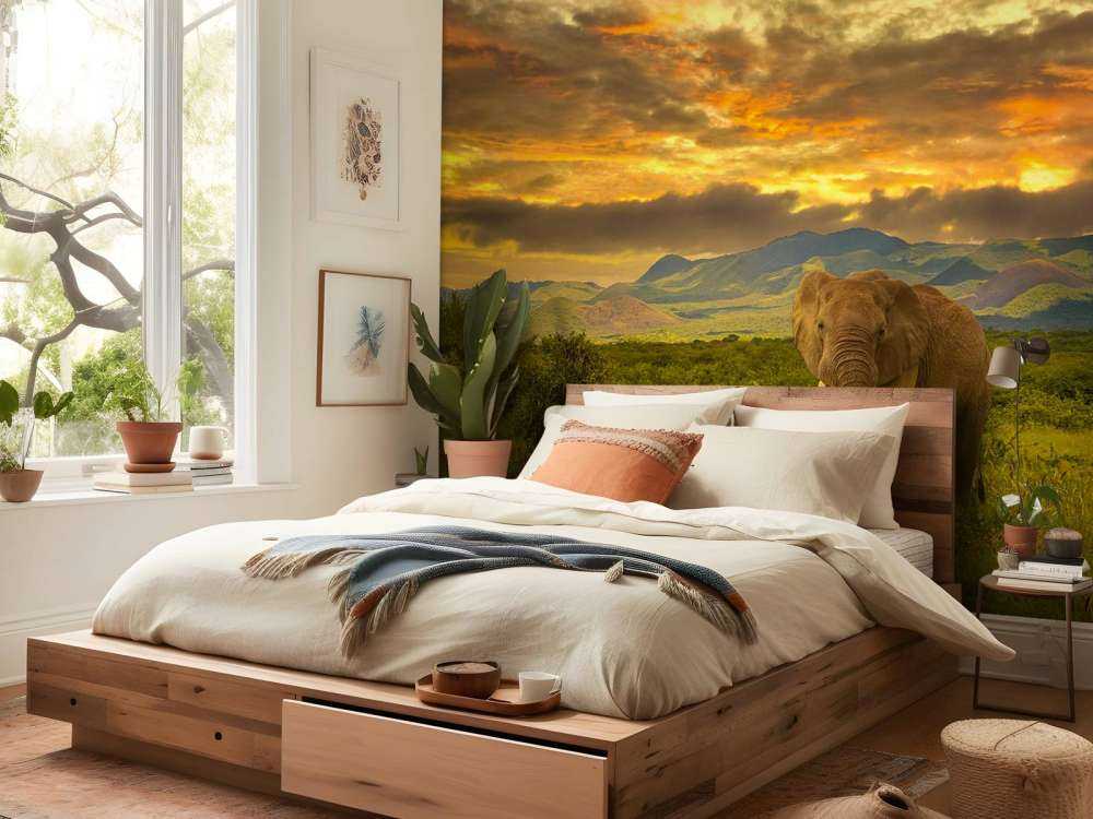 Olifant in Kenia bij zonsondergang