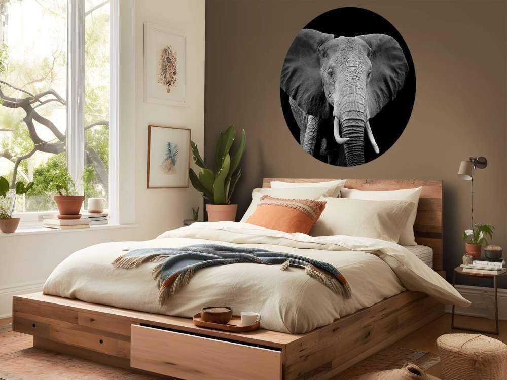 Olifant met een zwarte achtergrond