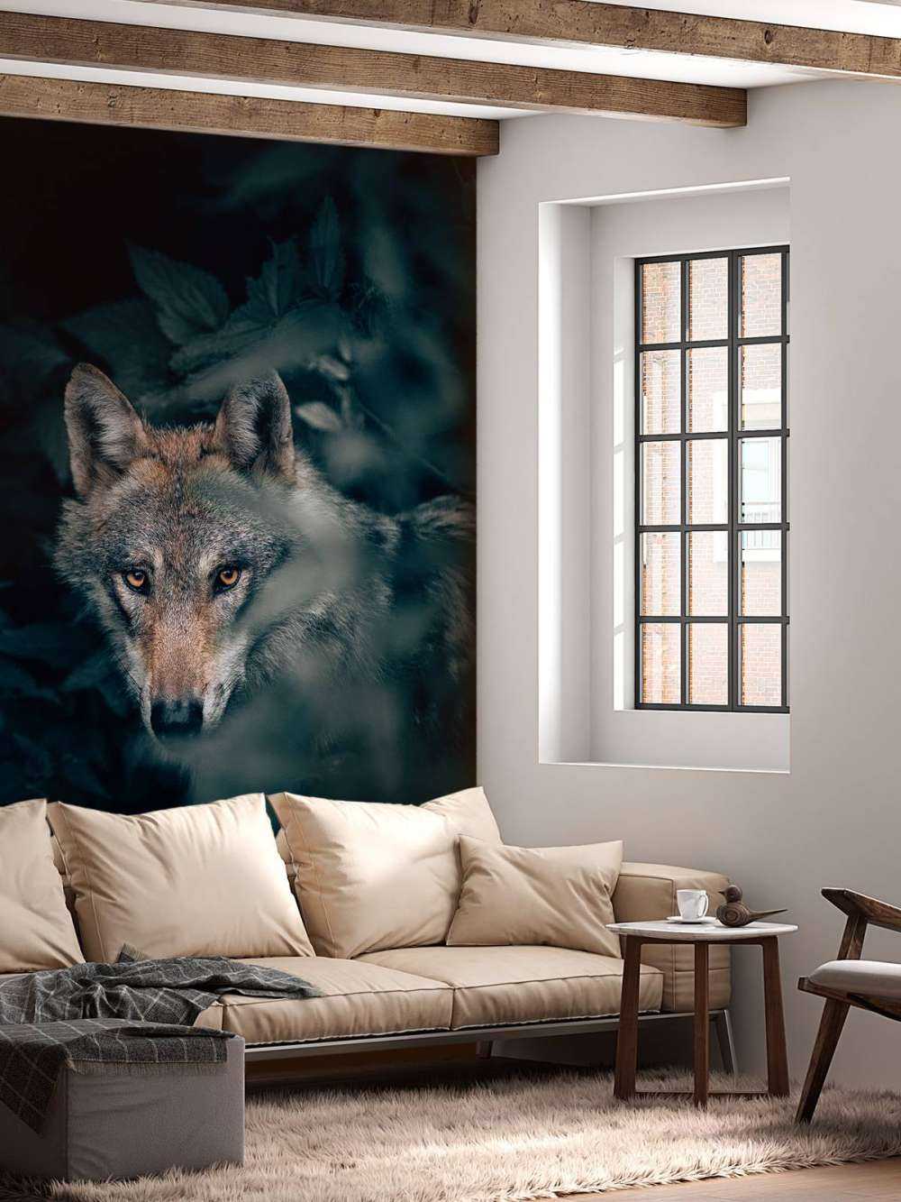 Close-up wolf