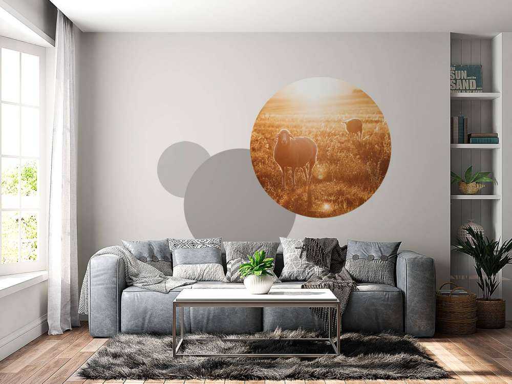 Schaap in prachtig weiland