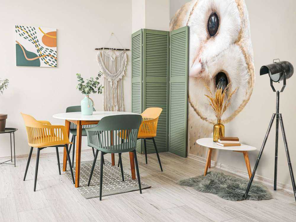 Uil met hoofd schuin