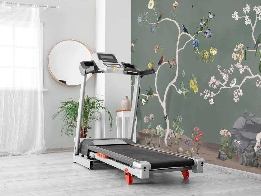 Birds in Garden Panorama 6