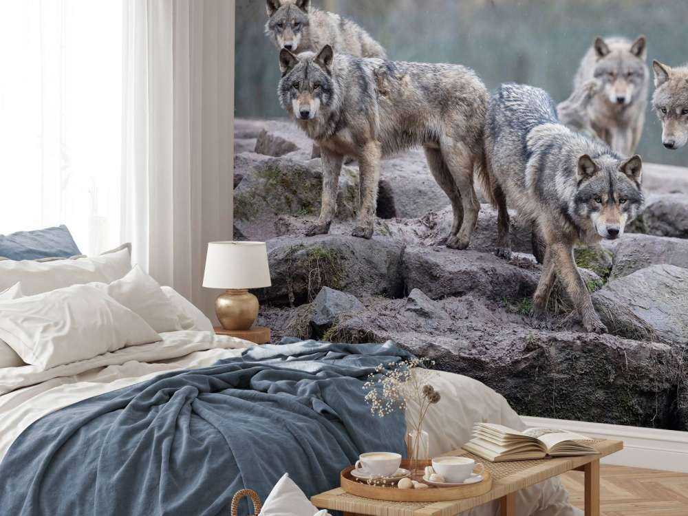 Woudwachters Schemering