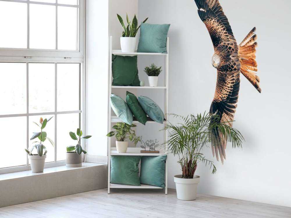 Rode wouw met gespreide vleugels