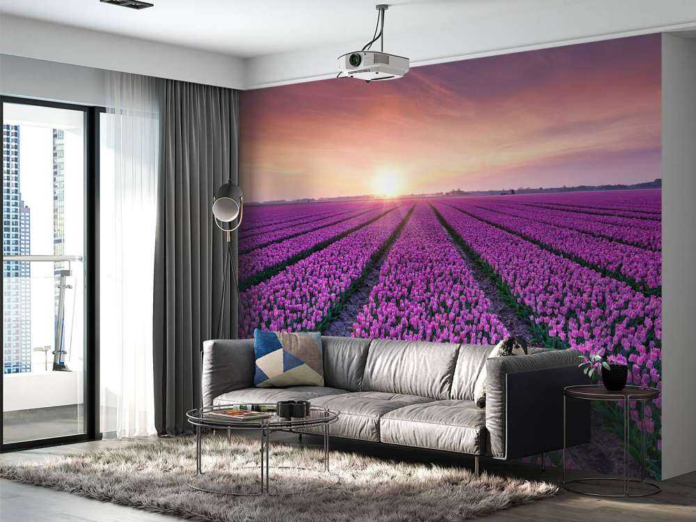 Tulpenveld bij zonsopkomst