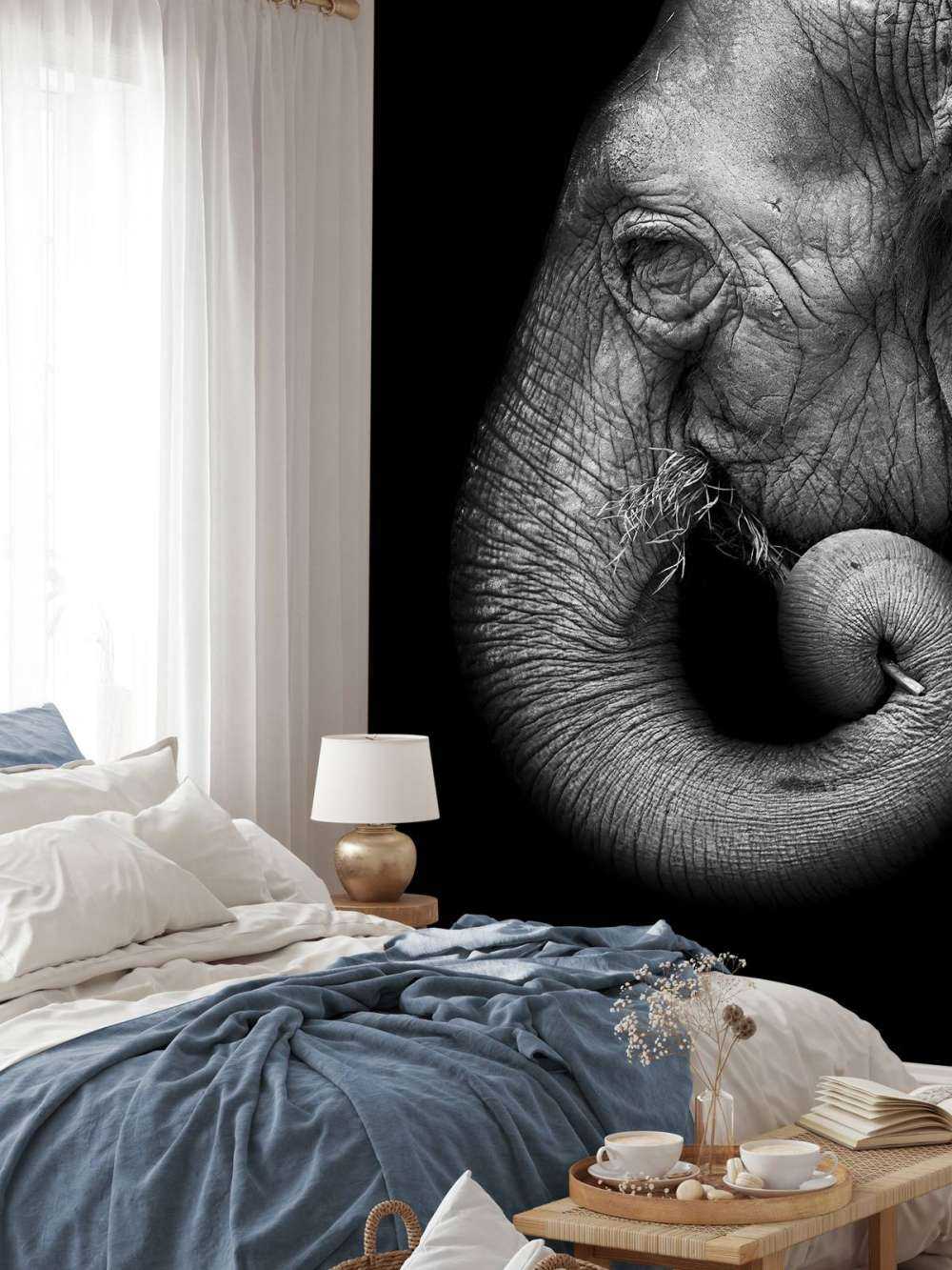 Olifant portret