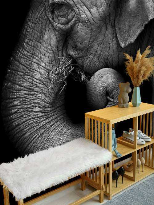 Olifant portret
