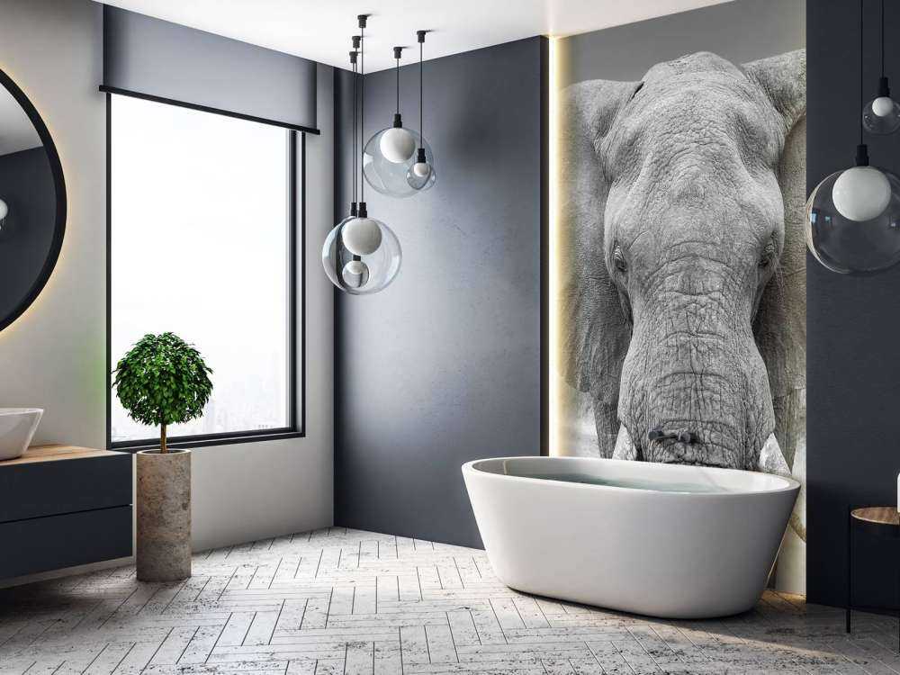 Olifant zwart-wit