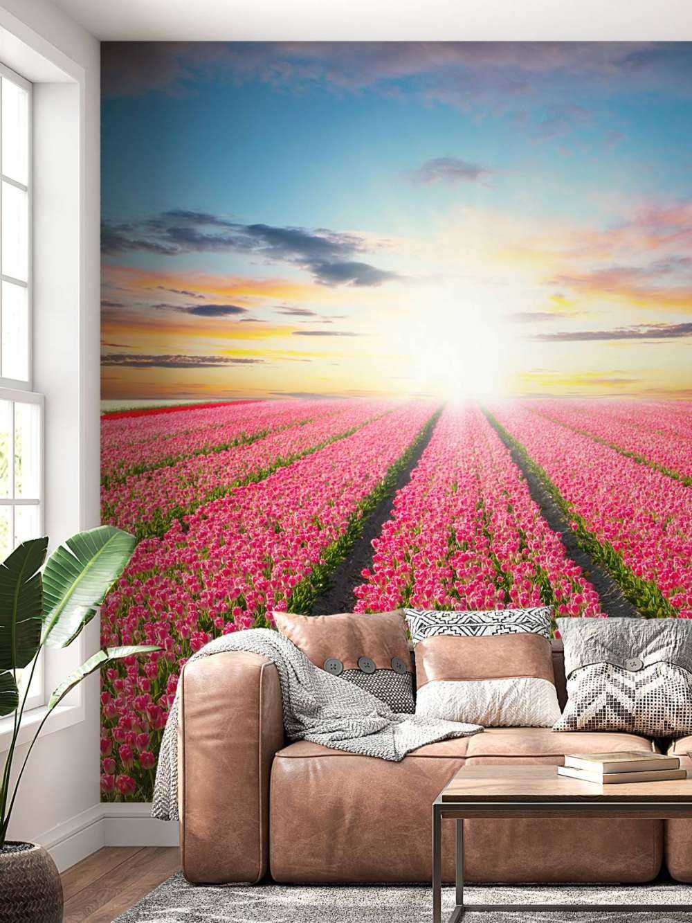 Tulpen met opkomende zon