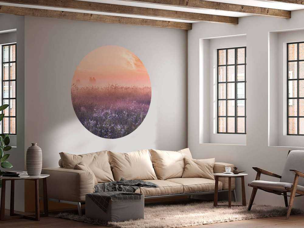 Veld met ochtendnevel