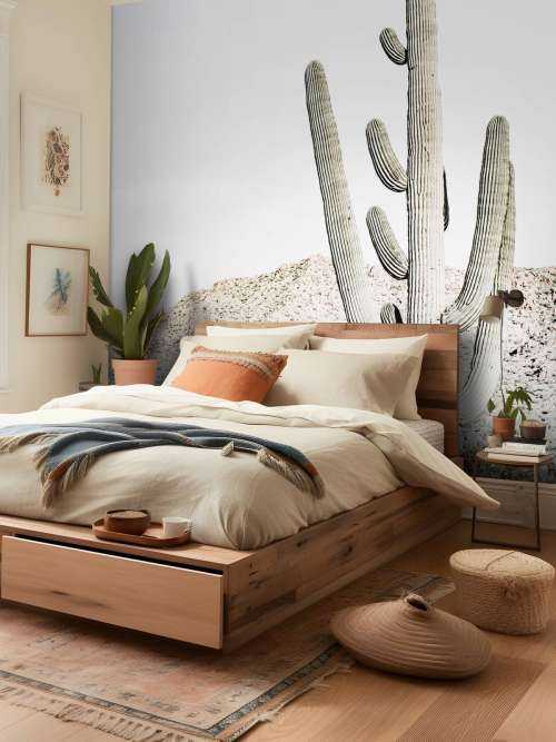 Hoge cactus