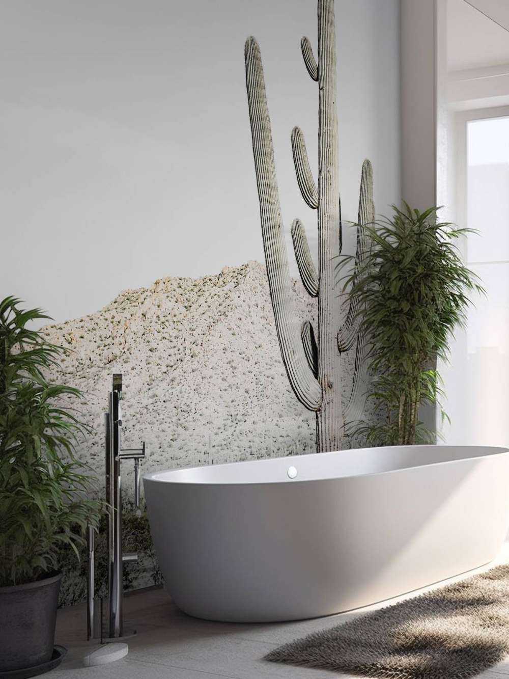 Hoge cactus