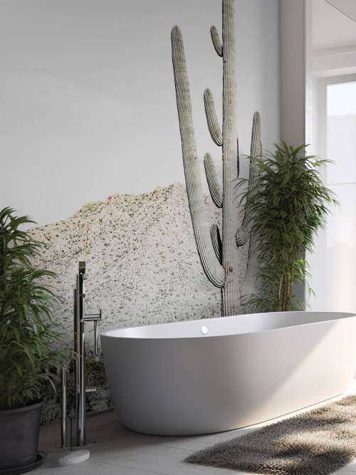 Hoge cactus