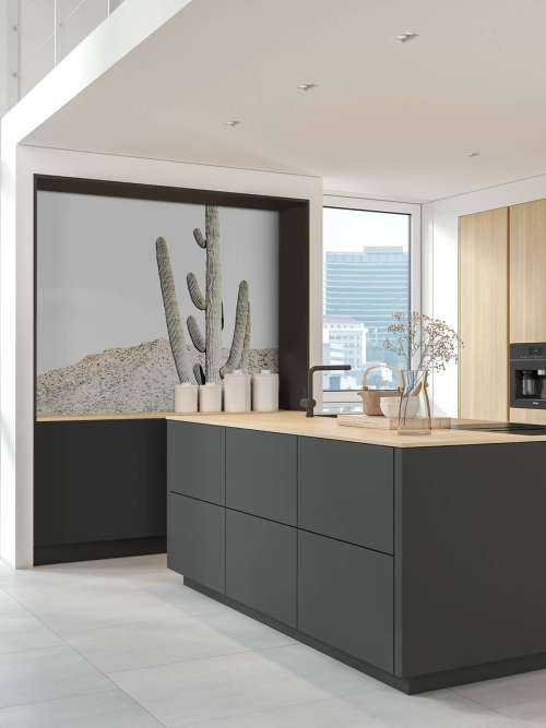 Hoge cactus