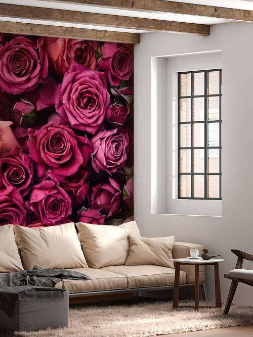 Roze rozen