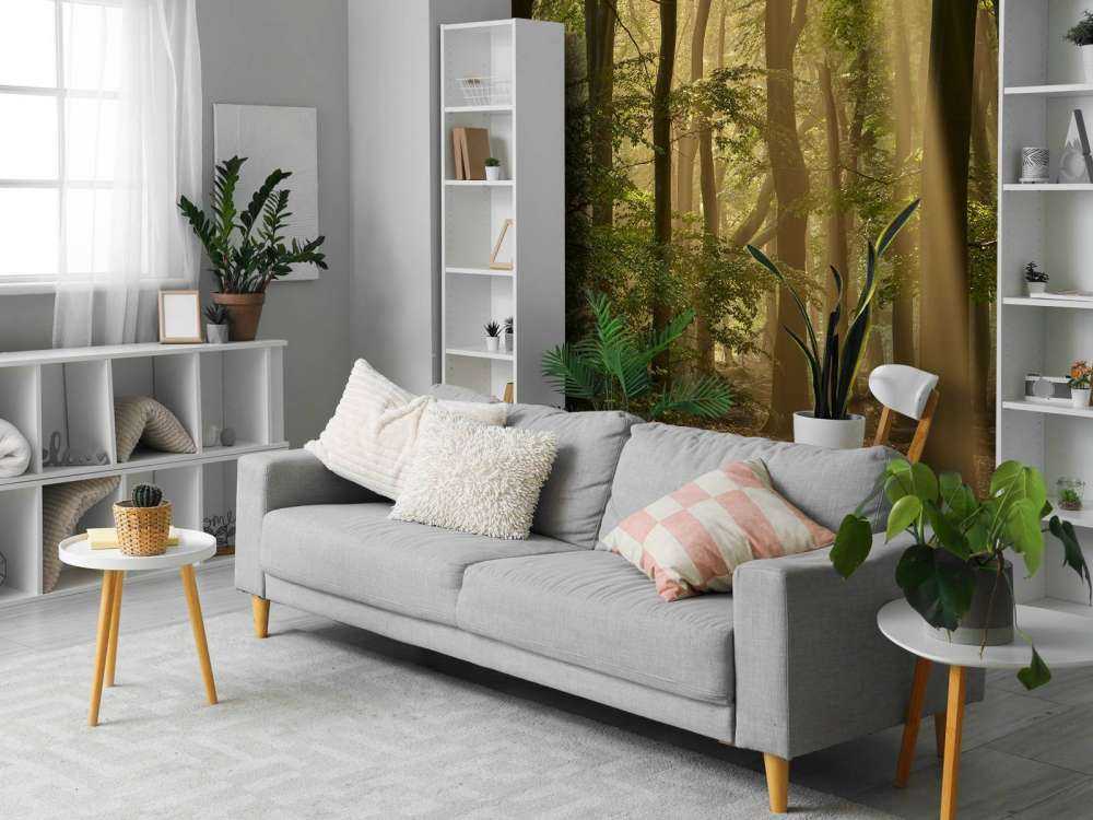 Oud bos met zonneharpen