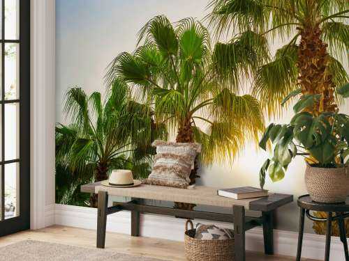 Palmbomen met zon