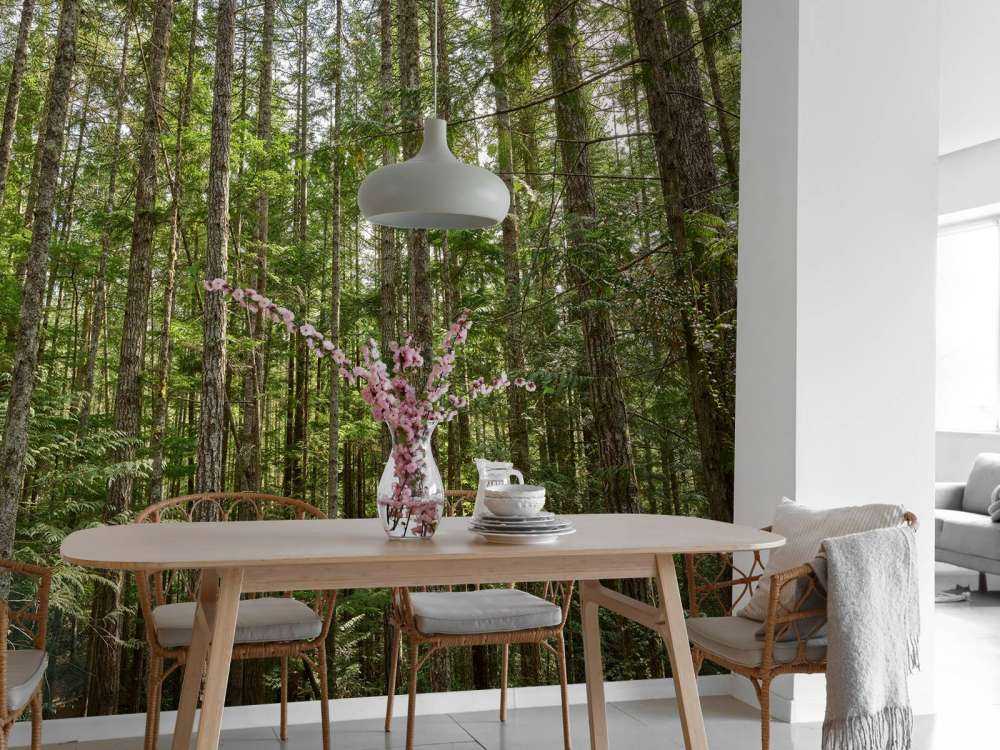 Dunne bomen in het bos