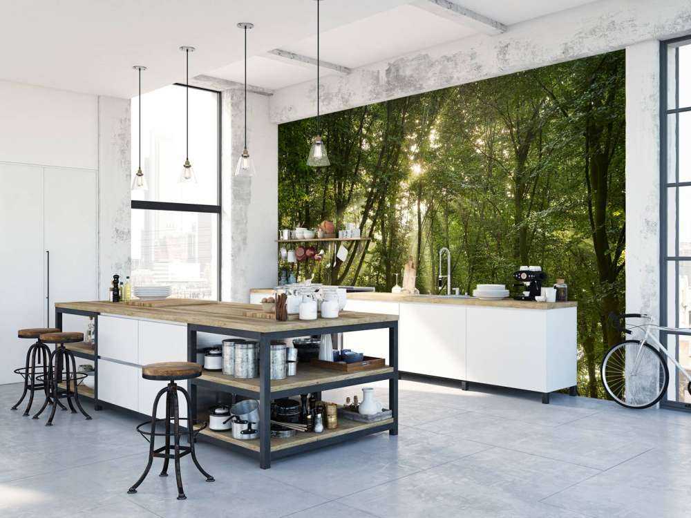 Zonnestralen in het bos