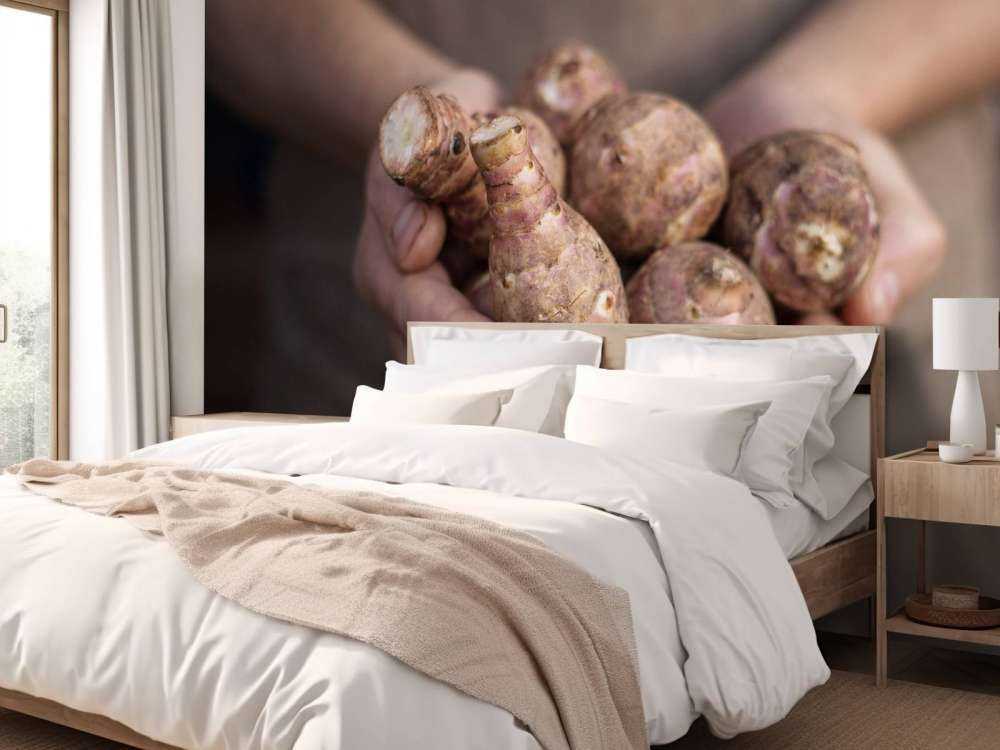 Aardproducten