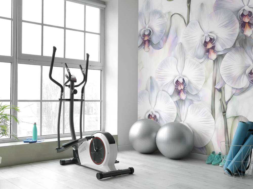 Orchids Paradise Blue