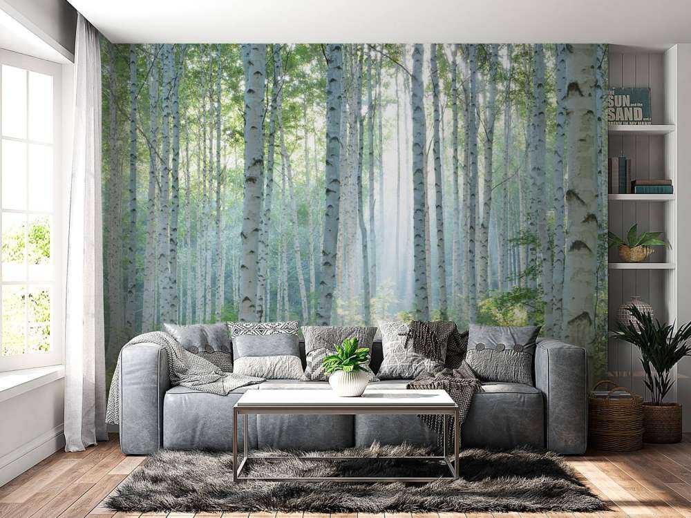 Berkenbos in ochtendlicht