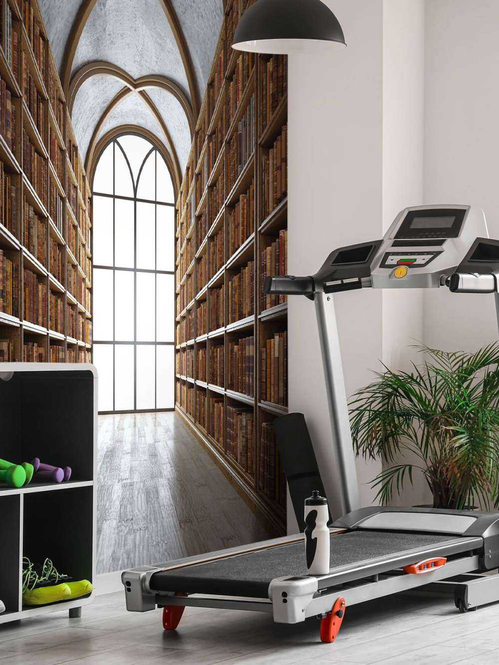 Middeleeuwse Bibliotheekhal