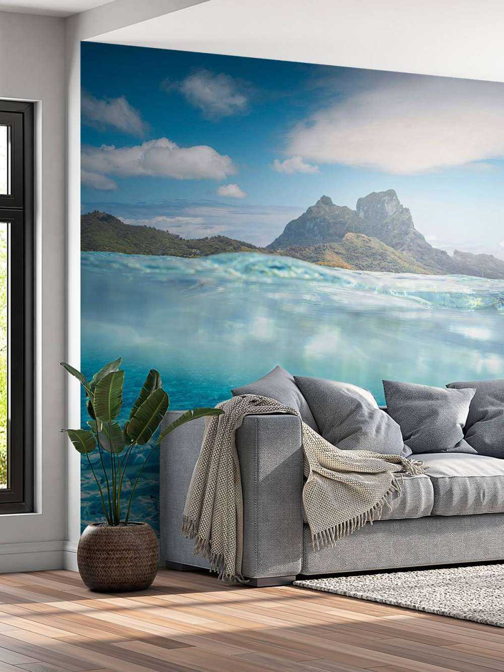 Rifhaaien in turquoise lagune