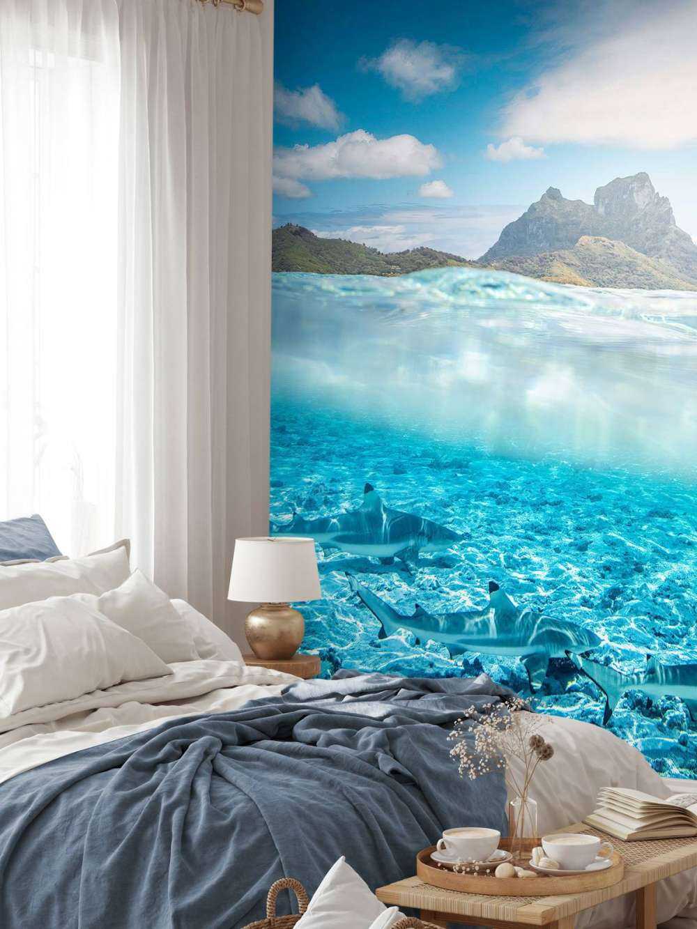 Rifhaaien in turquoise lagune